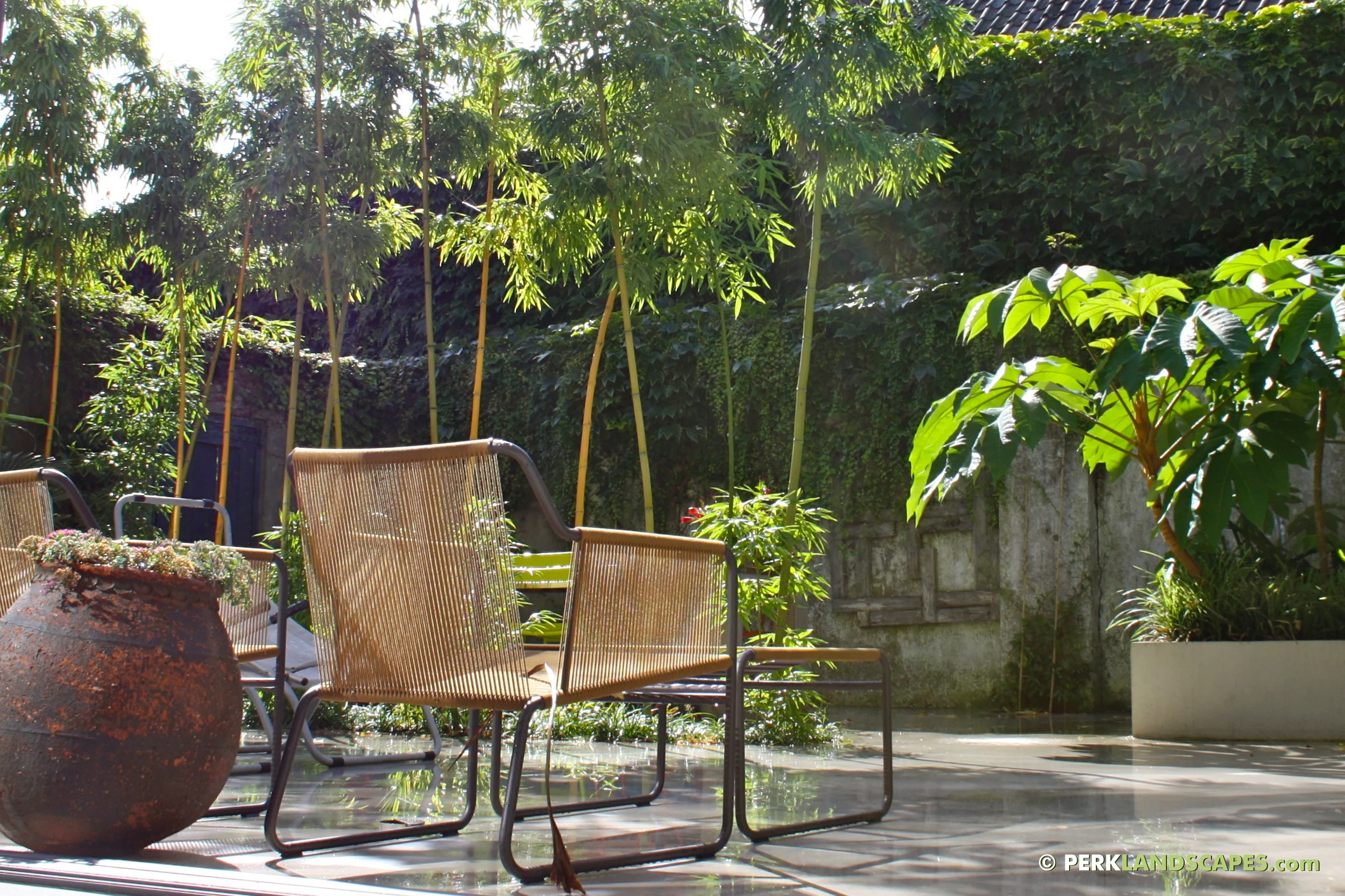 Mediterrane tuin met bamboe siergrassen en exoten