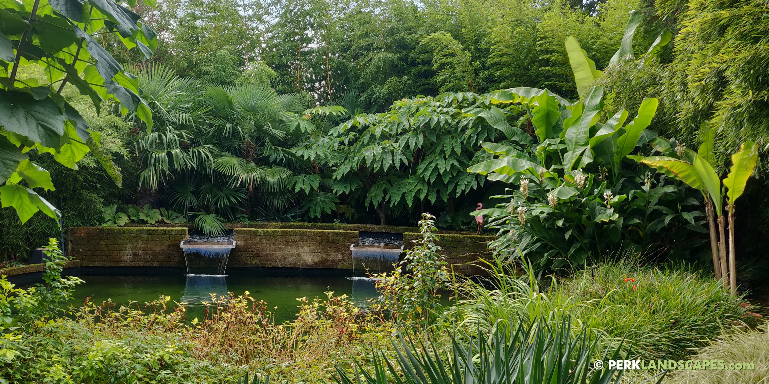 Tuin met bamboe siergrassen en exoten