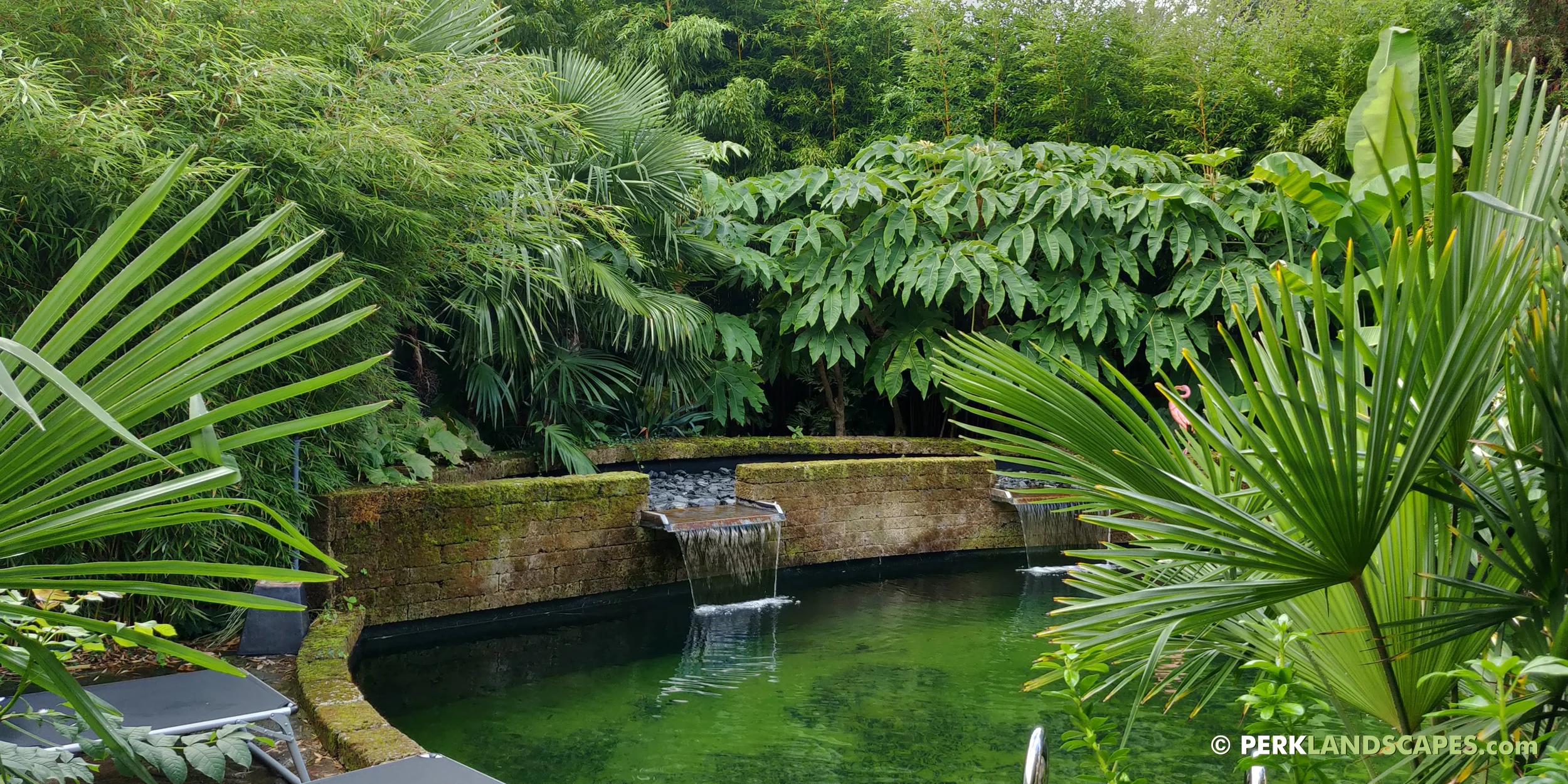 Tuin met bamboe siergrassen en exoten