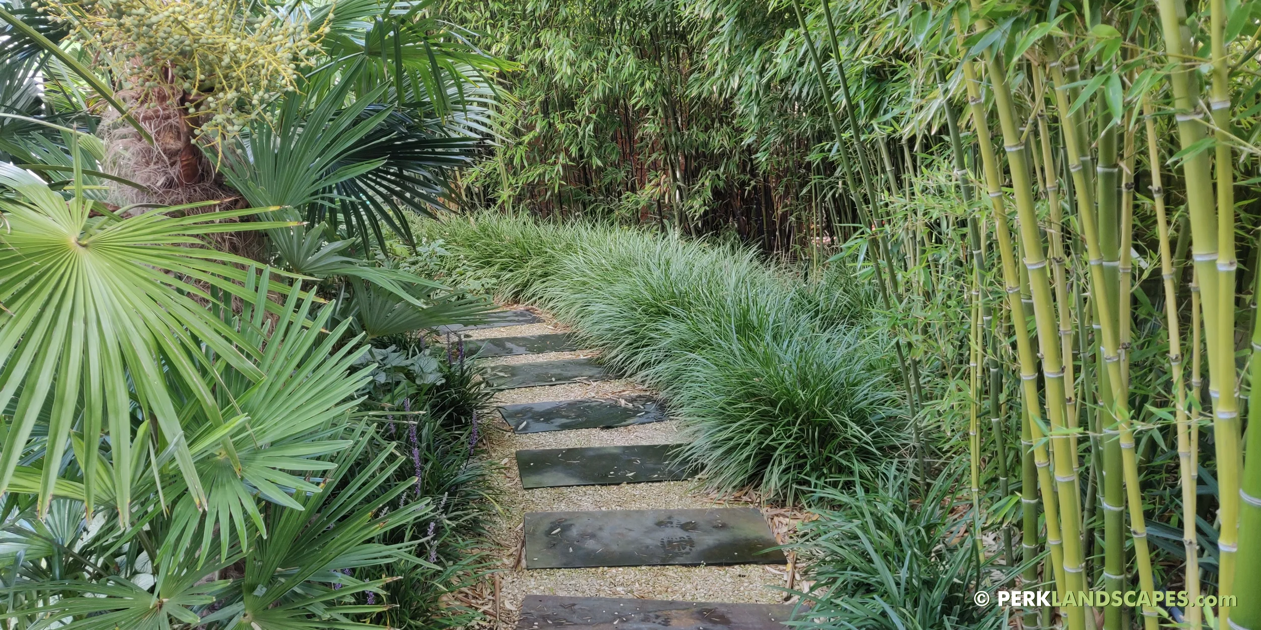 Tuin met bamboe siergrassen en exoten