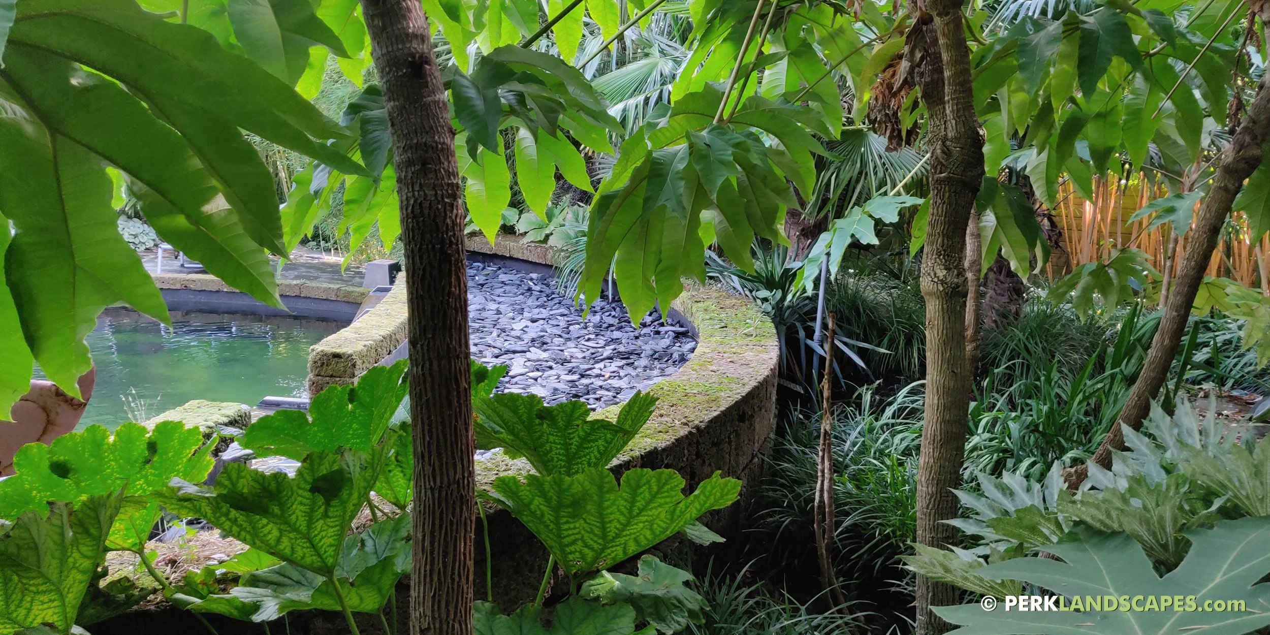 Tuin met bamboe siergrassen en exoten