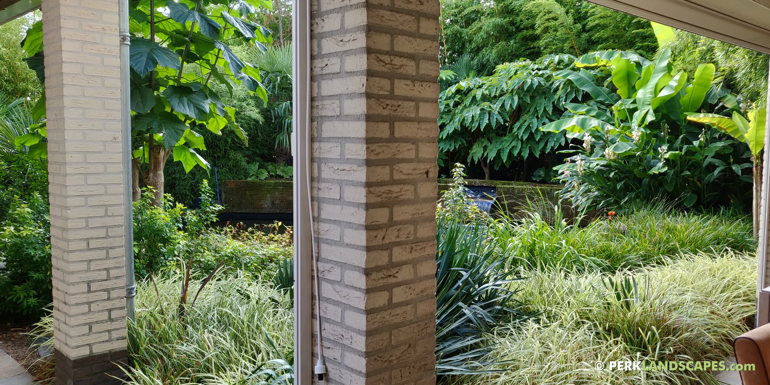 Tuin met bamboe siergrassen en exoten