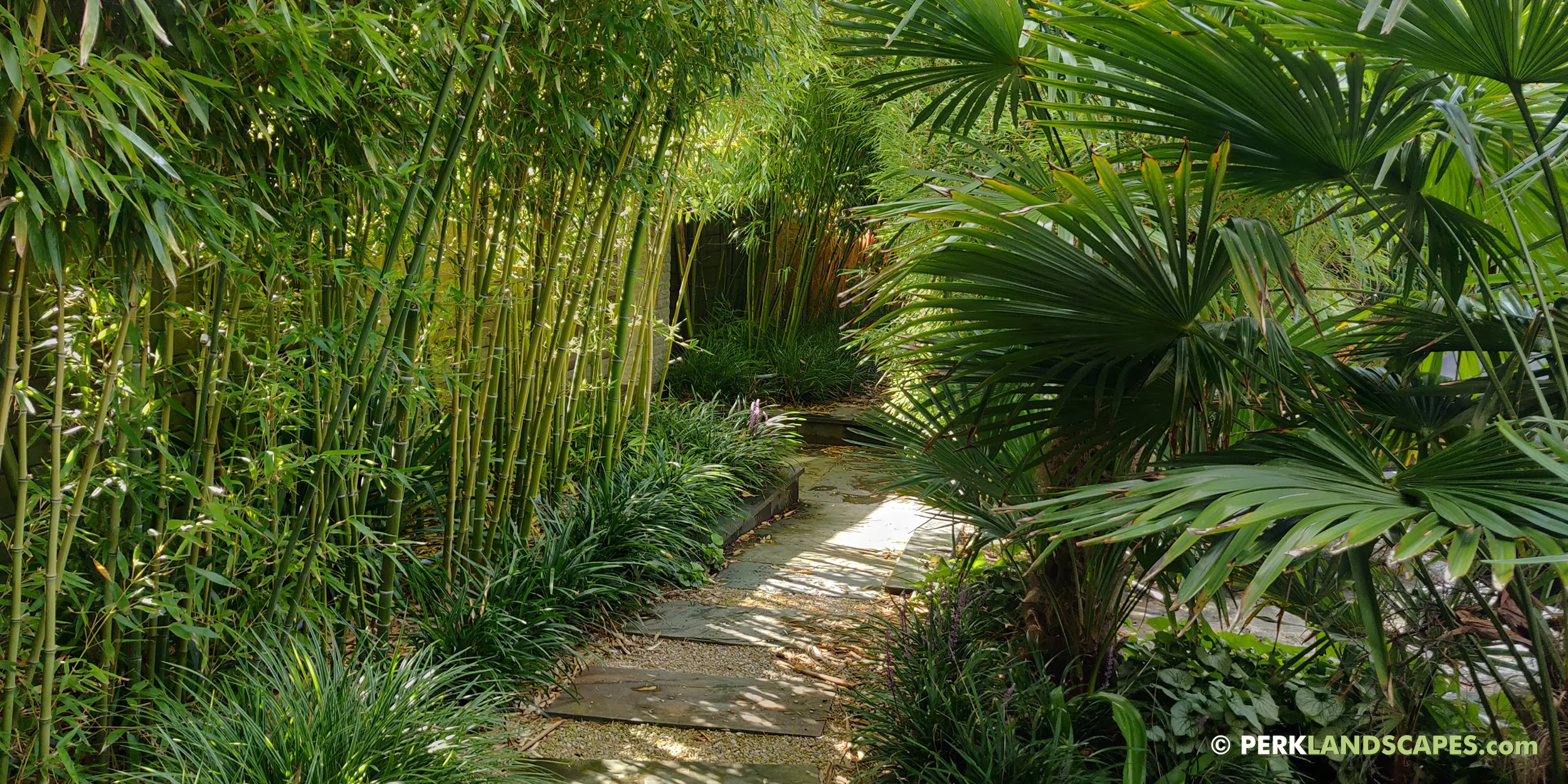 Mediterrane tuin met bamboe siergrassen en exoten