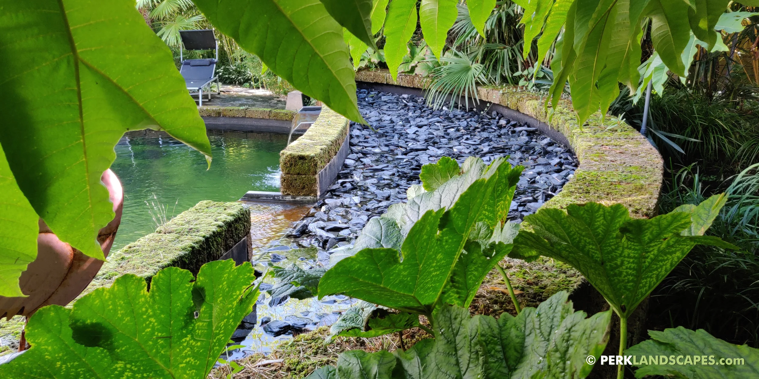Tuin met bamboe siergrassen en exoten