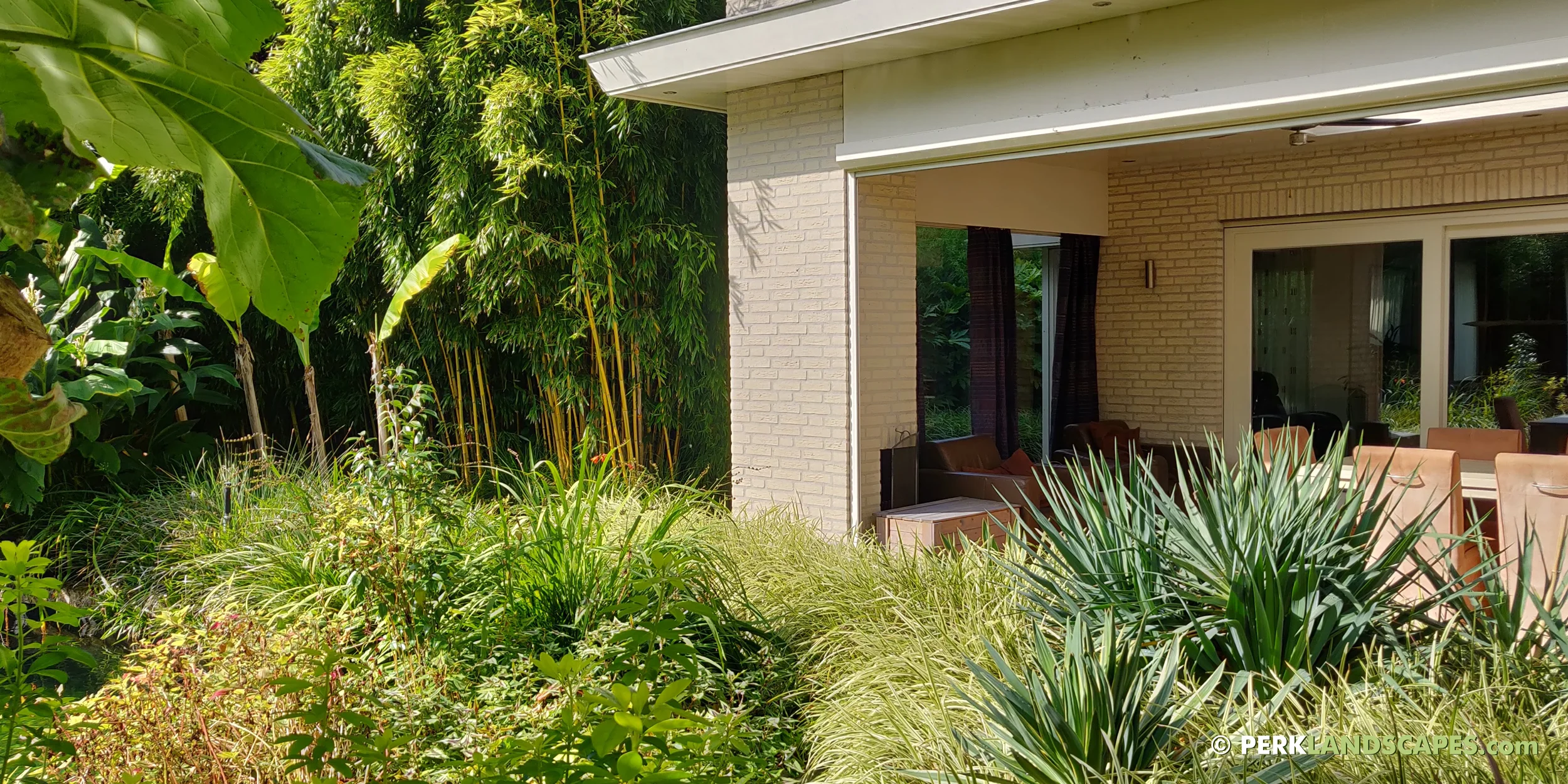 Mediterrane tuin met bamboe siergrassen en exoten