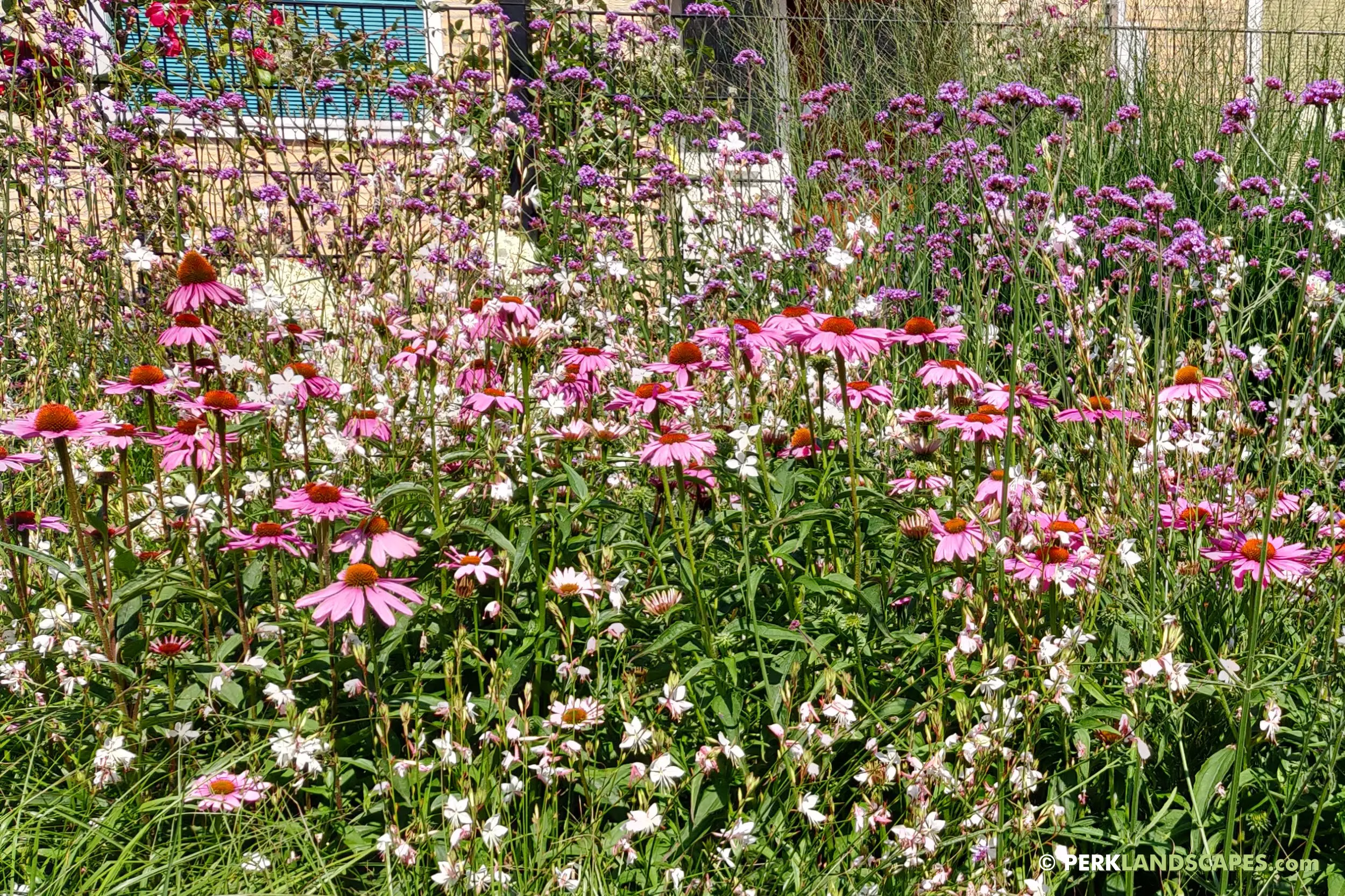 bloementuin