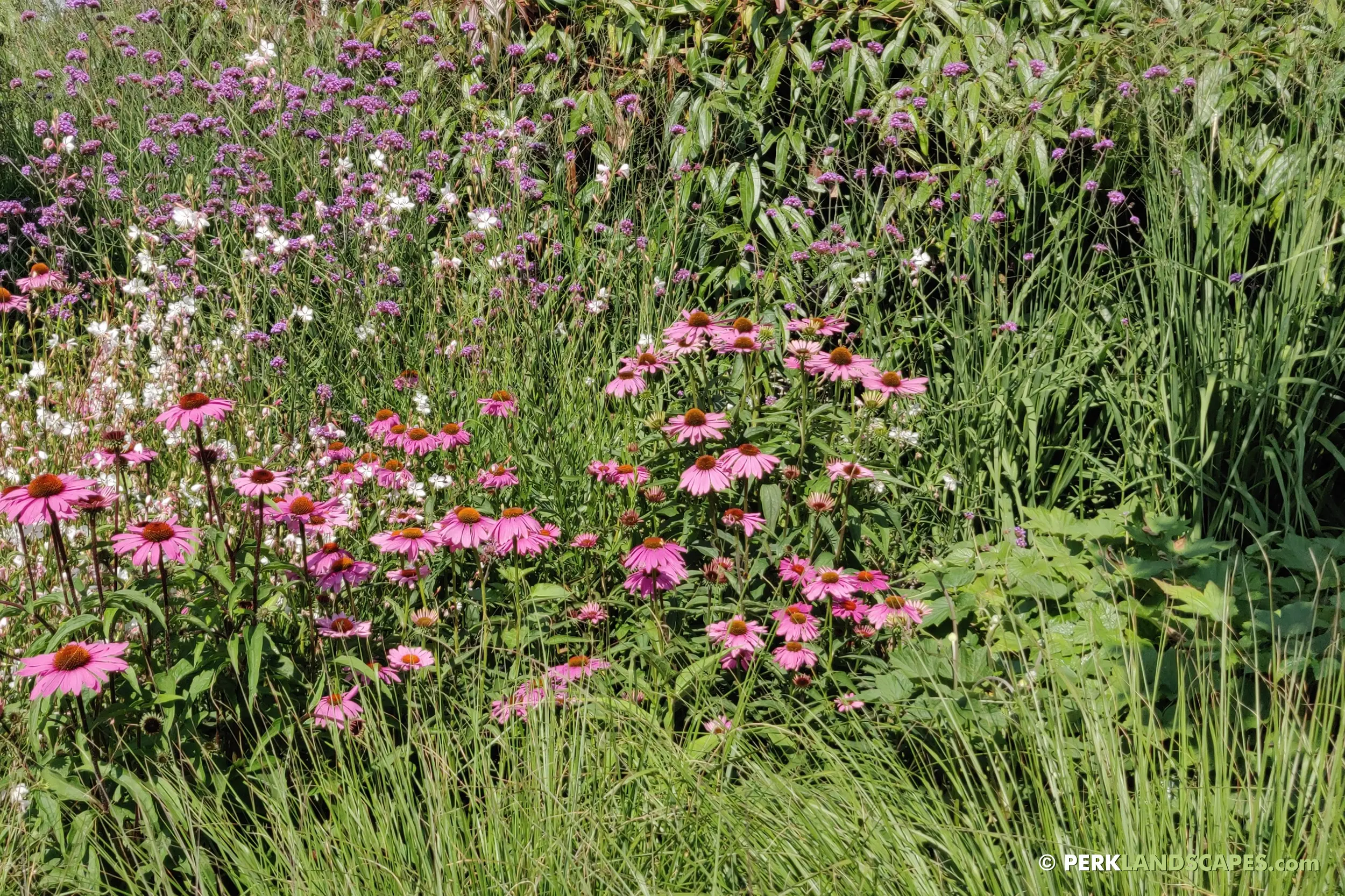 bloementuin