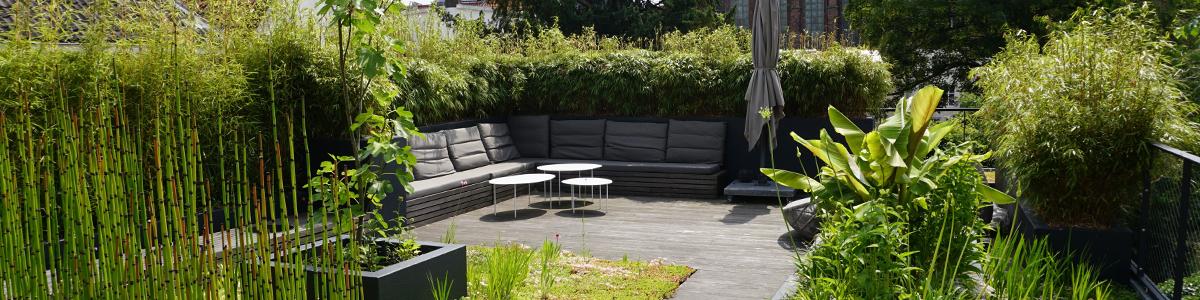 Weelderige daktuin