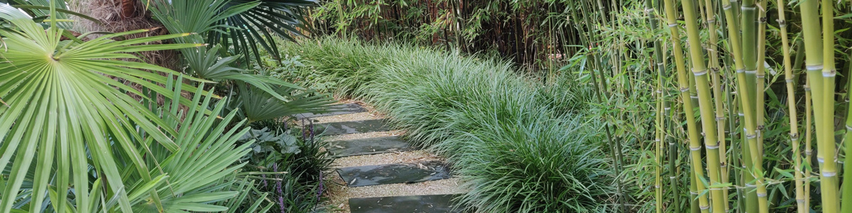 Tropische jungle tuin met zwemvijver