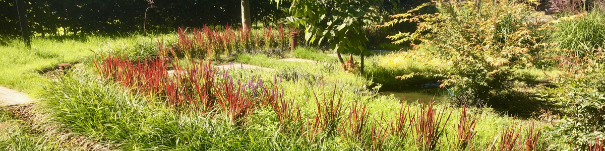 Groene beekloop tuin